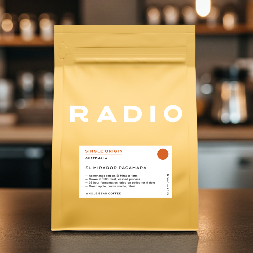 Whole Bean Single Origin Coffee Guatemala Pacamara